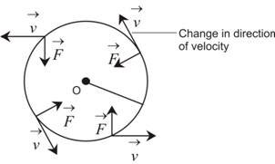 Circular Motion Circular Motion