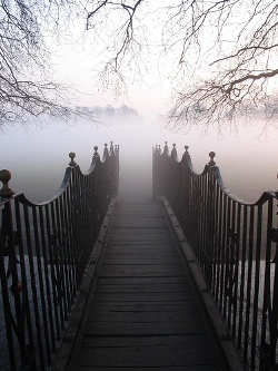 Fog : Aerosol Colloid Fog : Aerosol Colloid