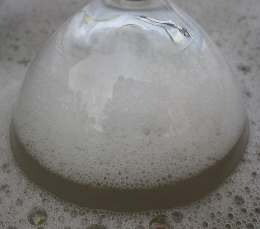 Froth : Foam Colloid Froth : Foam Colloid